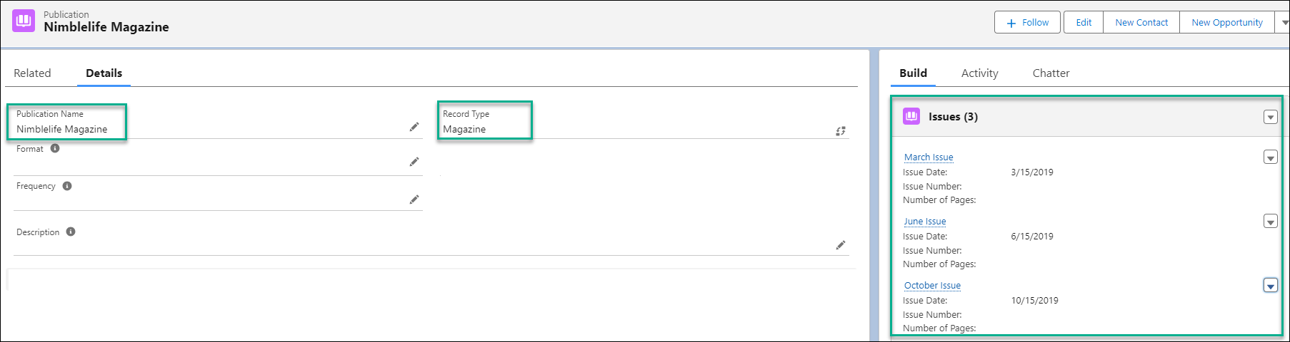 Publications Record type with linked 3 Issues..png